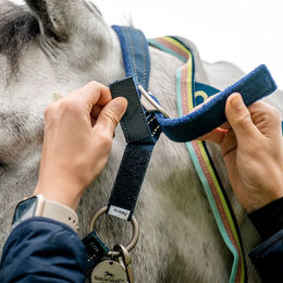 Horseware FieldSafe Nylonhalfter für Pferde in Blau – Bild 1 von 11