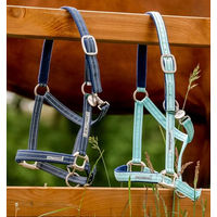 Produktbild von Horseware Fieldsafe Nylonhalfter für Ponys in Blau - 1 Stk.