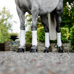 Horseware Fleece Gamaschen für Pferde in Weiß – Bild 1 von 2