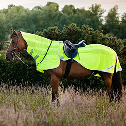 Horseware Flyrider Reflektierende Pferdefliegendecke aus Polyester in Grün XL – Bild 1 von 4