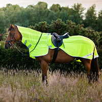 Produktbild von Horseware Flyrider Reflektierende Pferdefliegendecke aus Polyester in Grün XL