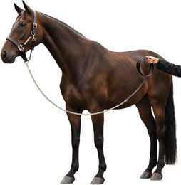 Horseware Führkette aus Leder in Schwarz One Size – Bild 1 von 1