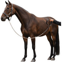 Produktbild von Horseware Führkette aus Leder in Schwarz One Size