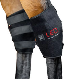 Horseware Gamaschen für Pferde mit Lichttherapie Schwarz 2er Pack – Bild 1 von 1