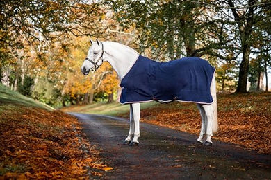 Produktbild von Horseware Geprägter Jersey-Kühler für Pferde in Blau