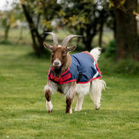 Produktbild von Horseware Goat Coat XS Navy/Red 200g