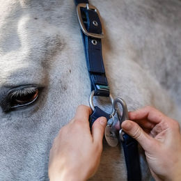 Produktbild von Horseware Grooming Headcollar Halfter aus Nylon für Ponys in Blau