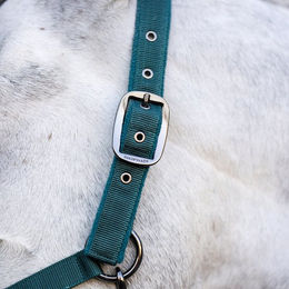 Horseware Halfter und Strick Set aus Nylon in Grün für Warmblut Pferde – Bild 1 von 4