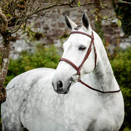 Horseware Hunter Cavesson Trense mit Zügel aus Leder für Vollblut in Braun oder Beige – Bild 1 von 1