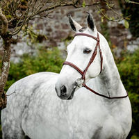 Produktbild von Horseware Hunter Cavesson Trense mit Zügel aus Leder für Vollblut in Braun oder Beige