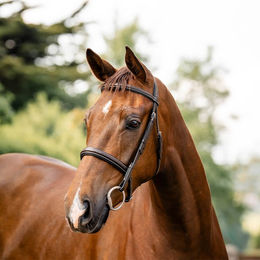 Produktbild von Horseware Hunter Trense aus Leder für Ponys in Braun