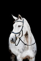 Horseware HW Micklem2 Multi Bridle Trense für Vollblut in Schwarz aus Kunstleder – Bild 1 von 4