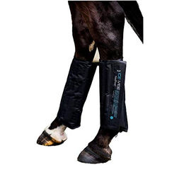 Horseware Ice Vibe Ersatz-Kühlkompressen für Kühlgamaschen Schwarz - 2 Stk. – Bild 1 von 4