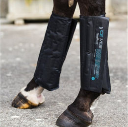 Horseware Ice-Vibe Gel-Kühlpack für Warmblut-Gamaschen Schwarz – Bild 1 von 3