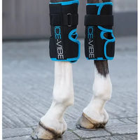 Produktbild von Horseware Ice-Vibe LED Gamaschen für Pferde zur Kühlung des Karpalgelenks aus Neopren