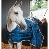 Produktbild von Horseware Ionentherapie-Einsatz für Gamaschen Blau 50 g - 50 g