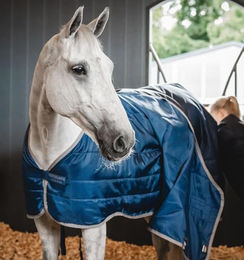 Produktbild von Horseware Ionentherapie-Einsatz für Pferde in Blau und Silber 50 g - 50 g
