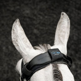 Horseware Ionic Genickschoner für Pferde Schwarz mit Keramik-Technologie – Bild 1 von 2
