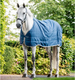 Horseware Ionic Therapy Outdoor-Decke für Pferde in Blau und Silber – Bild 1 von 7