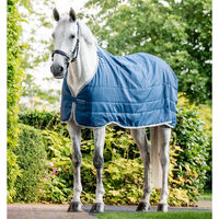 Produktbild von Horseware Ionic Therapy Outdoor-Decke für Pferde in Blau und Silber