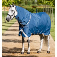 Produktbild von Horseware Ionic Therapy Pferdedecke Outdoor 0g Blau Silber Polyester Größe S