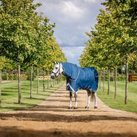 Produktbild von Horseware Ionic Therapy Turnout Hood Pferdedecke Blau Silber Grösse M
