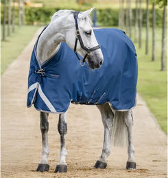 Horseware Ionic Therapy Turnout Outdoor-Pferdedecke aus Polyester in Blau-Silber – Bild 1 von 2