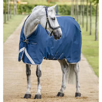 Produktbild von Horseware Ionic100g Outdoor-Pferdedecke aus Polyester in Blau - 100 g