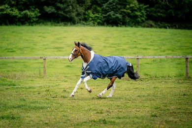 Horseware Ireland Amigo 1200D Wug Turnout Pferdedecke Navy Titanium Grey Silver 125 cm - 150 g – Bild 1 von 4