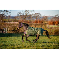 Produktbild von Horseware Ireland Amigo Hero Ripstop Weidedecke Lite 0g für Pferde 145 cm Grün