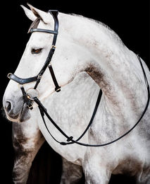 Horseware Ireland Micklem 2 Multi Bridle Trense für Pferde Schwarz Cob – Bild 1 von 1