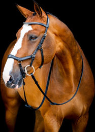 Horseware Ireland Micklem II Diamante Competition Trense für Warmblut in Schwarz – Bild 1 von 3