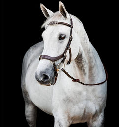 Horseware Ireland Micklem Multi Bridle Trense Dark Havana Leder Größe Cob – Bild 1 von 1