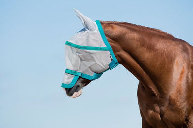 Horseware Ireland Rambo Flymask Plus Fliegenmaske für Pferde Silver/Navy & Electric Blue Größe Full – Bild 1 von 1