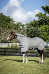 Horseware Ireland Rambo Protector Fieldsafe Plus Fliegendecke für Pferde Silber Weiß Beige 160 cm – Bild 1 von 7