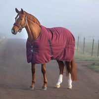 Produktbild von Horseware Ireland Rambo Stable Rug Winterdecke für Pferde 145 cm Burgundy/Navy/Teal