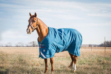 Horseware Ireland Rhino Turnout Pferdedecke 100g Navy/Grau/Aqua 140 cm - 100 g – Bild 1 von 2