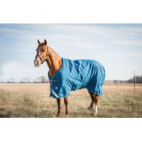 Produktbild von Horseware Ireland Rhino Turnout Pferdedecke 145 cm Navy/Grey/Aqua/Grey - 100 g