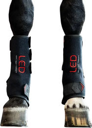 Horseware LED Rotlicht-Therapie Gamasche für Pferde aus Neopren Schwarz – Bild 1 von 5