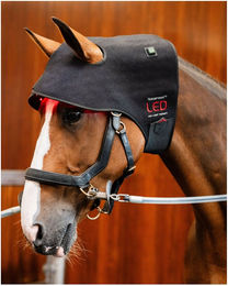 Horseware LED-Rotlicht-Therapie Genickhaube für Pferde aus Neopren Schwarz – Bild 1 von 6