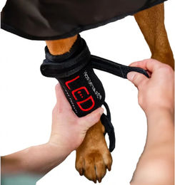 Horseware LED Rotlicht-Therapiebinden für Hunde aus Neopren Schwarz Klein – Bild 1 von 1