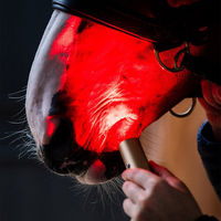 Produktbild von Horseware LED Rotlicht-Therapiestab aus Aluminium in Schwarz und Silber für Pferde