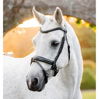 Produktbild von Horseware Leder Zaumzeug Flash für Ponys in Schwarz