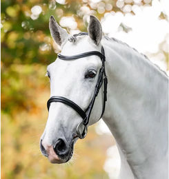 Produktbild von Horseware Leder Zaumzeug Full Schwarz