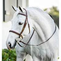 Produktbild von Horseware Leder Zaumzeug für Ponys in Braun