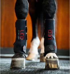 Horseware Lichttherapie Gamaschen für Pferde Schwarz 2er Set – Bild 1 von 1