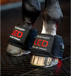 Horseware Lichttherapie Glocken für Shetty Pferde aus Neopren Schwarz 2er Pack – Bild 1 von 1