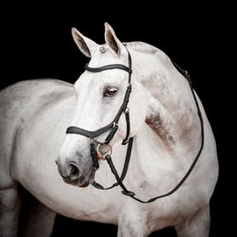 Horseware Micklem 2 Competition Trense Schwarz Größe Full für Warmblut – Bild 1 von 3