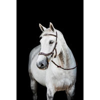 Produktbild von Horseware Micklem 2 Multi Bridle Pony Zaumzeug Braun