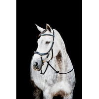 Produktbild von Horseware Micklem 2 Multi Bridle Zaumzeug für Ponys in Schwarz
